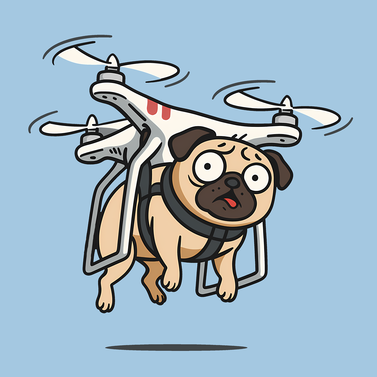 Drone Patrol