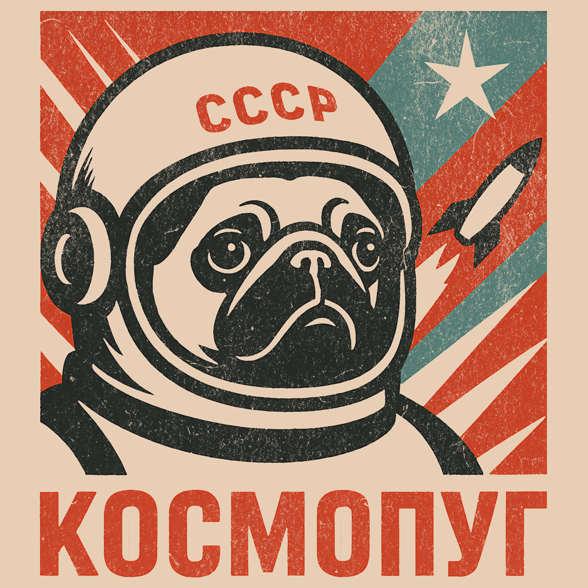 Cosmo Pug