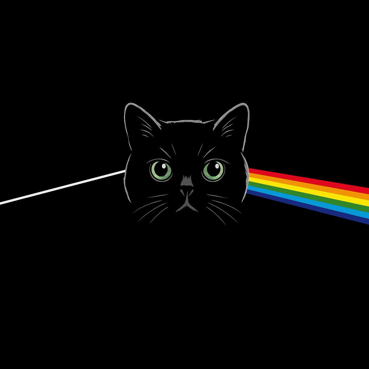 Cat Floyd