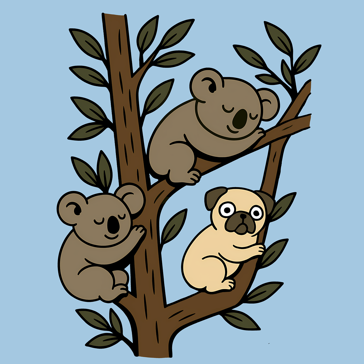 Pug Amongst The Koalas