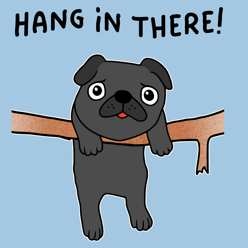 Hang in There Funny Pug Graphic T-Shirt