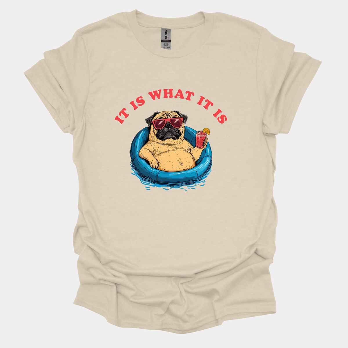 It Is What It Is Funny Pug Graphic T-Shirt