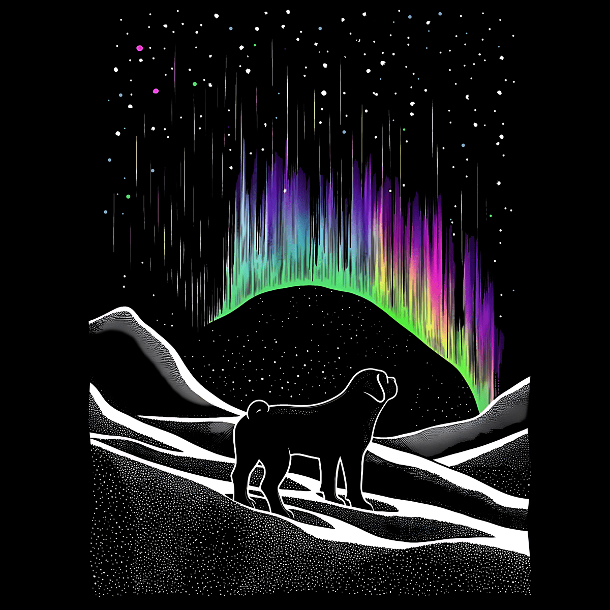 Midnight Aurora Funny Pug Graphic T-Shirt