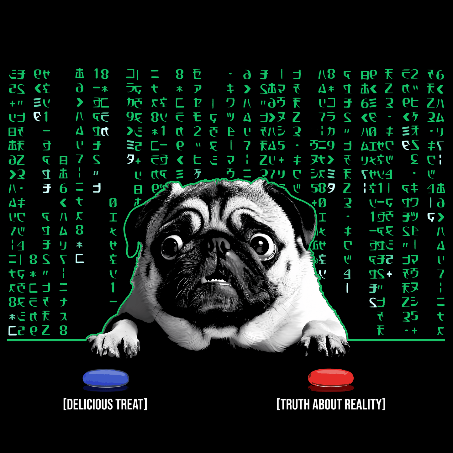 Neo Funny Pug Graphic T-Shirt