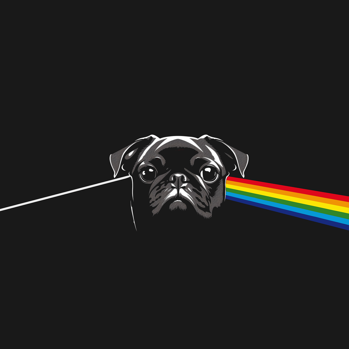 Pug Floyd Funny Pug Graphic T-Shirt