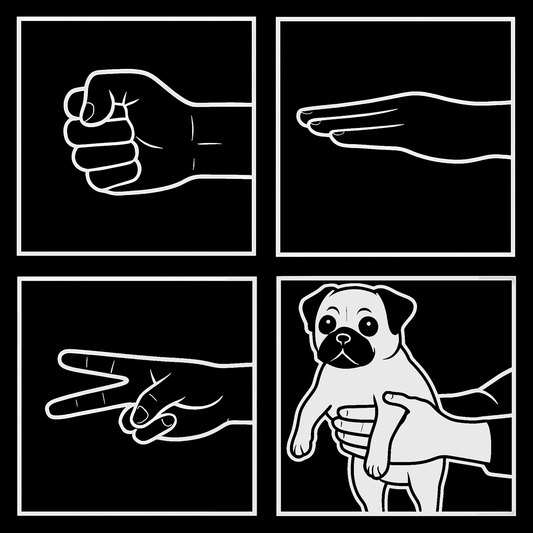 RPS Pug
