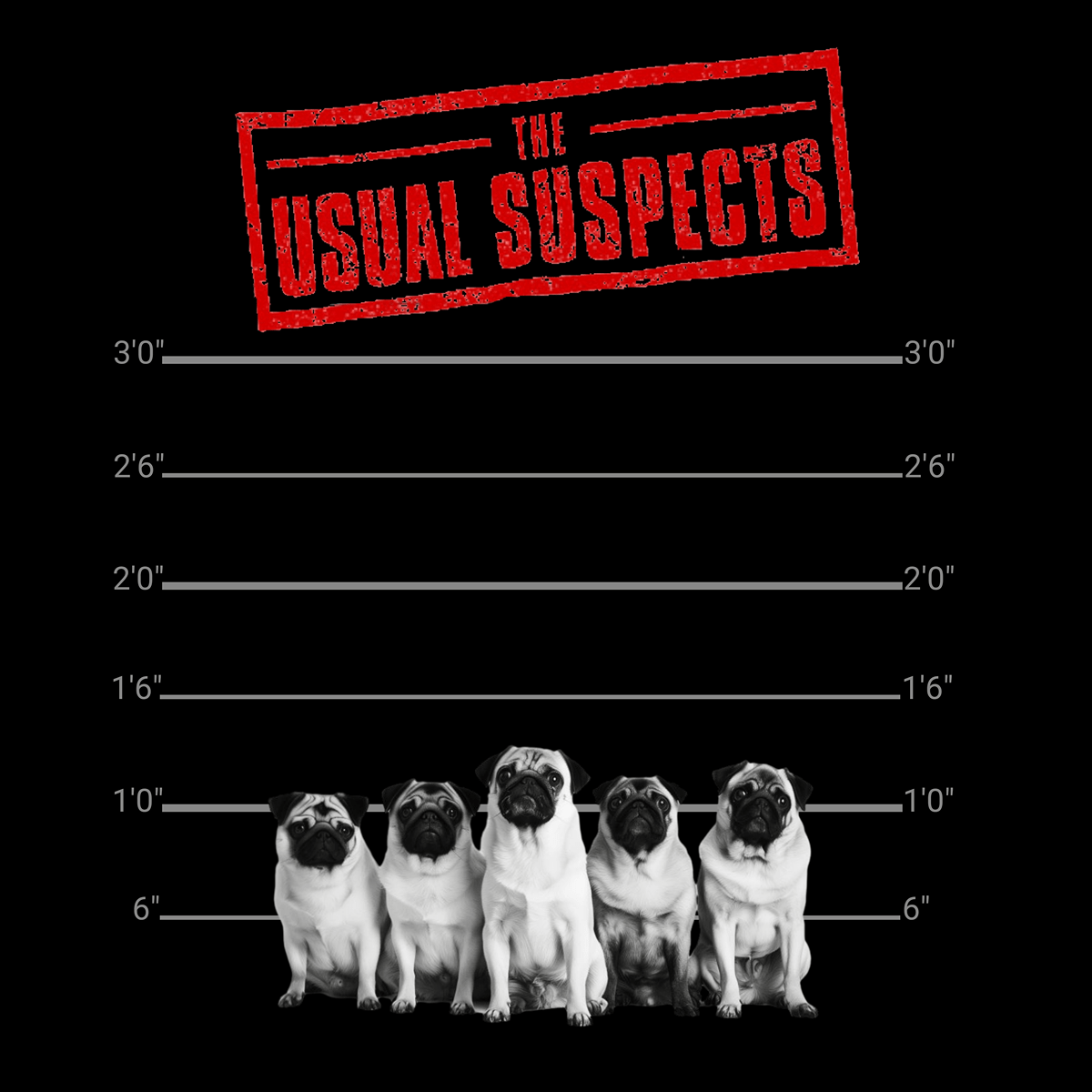 The Usual Suspects Funny Pug Graphic T-Shirt