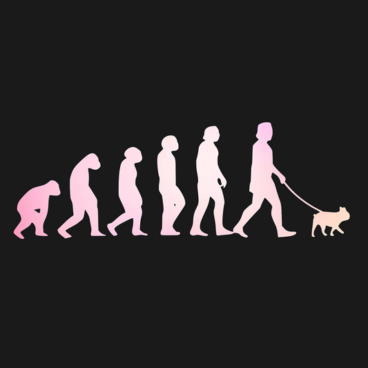 Evolution of Man