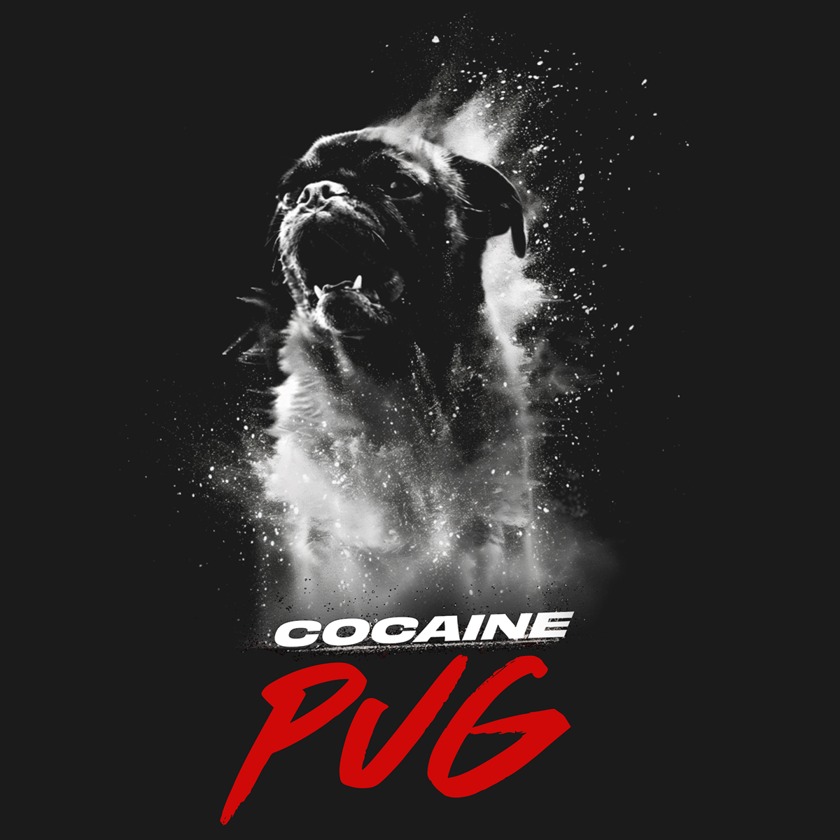 Cocaine Pug