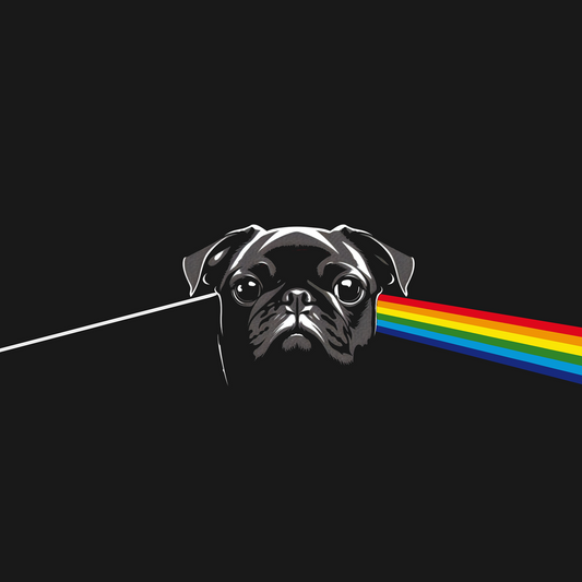 Pug Floyd