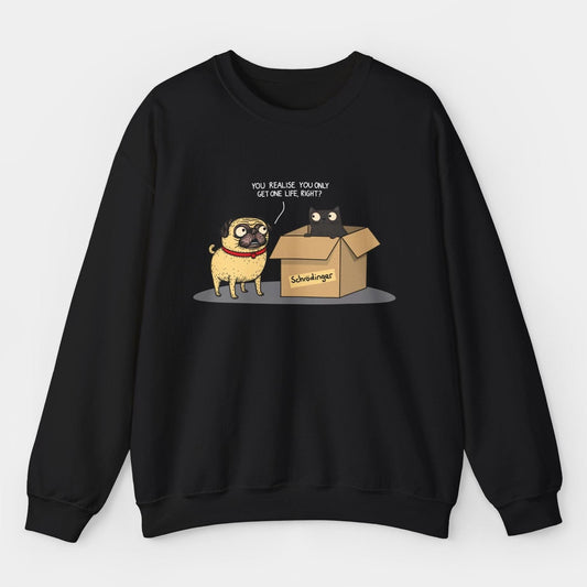 Schrodingers Pug