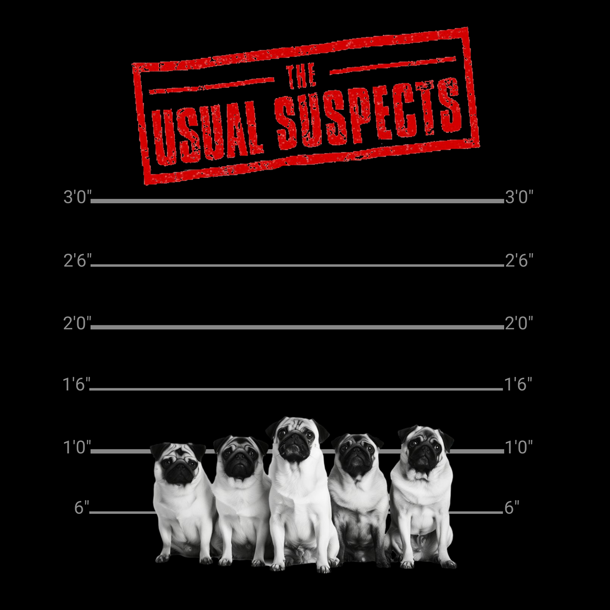 The Usual Suspects