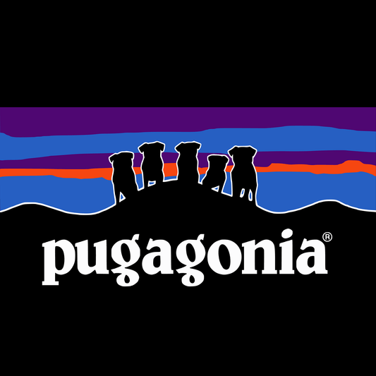 Pugagonia