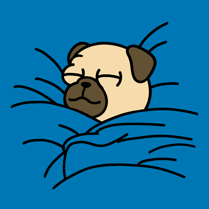 Snug as a Pug