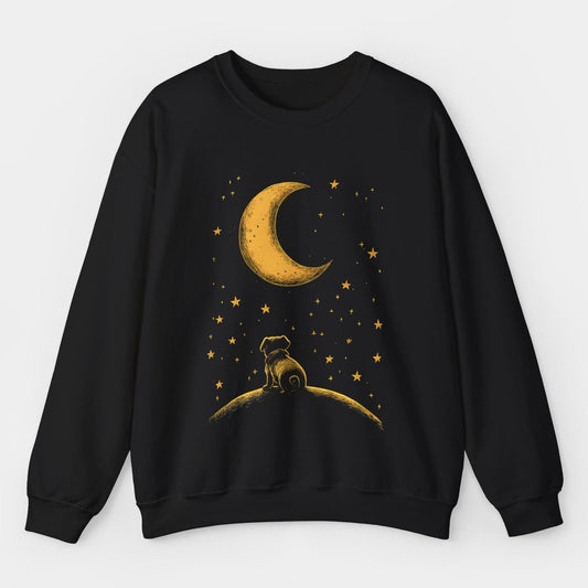Stargazing