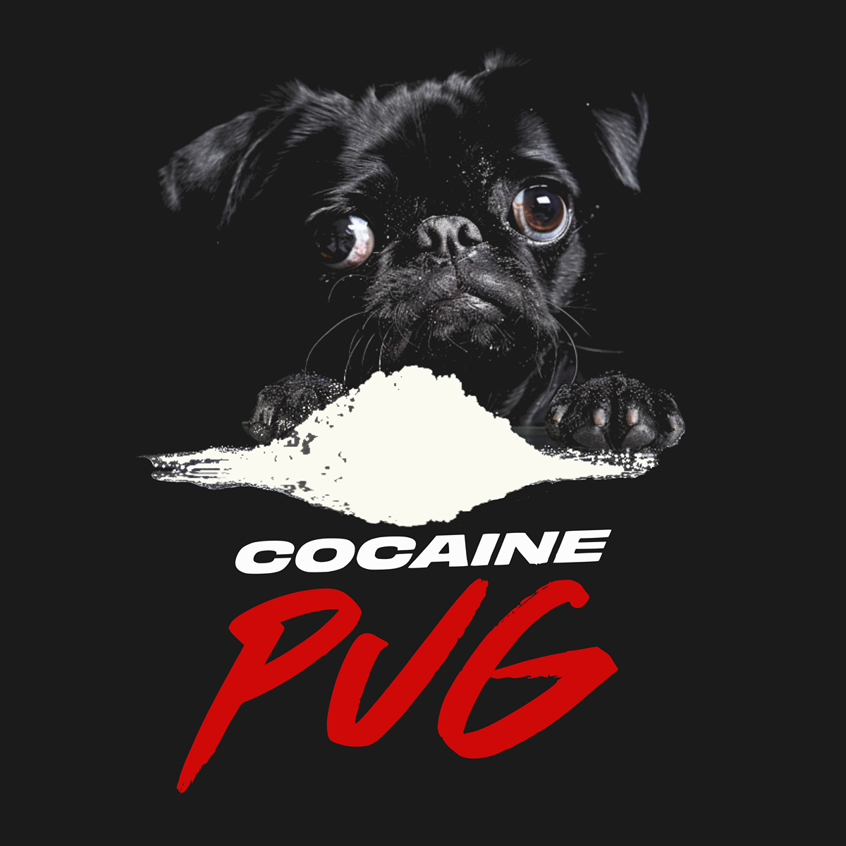 Coke Pug ||