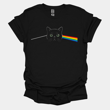 Cat Floyd