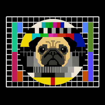 PGLZ-404