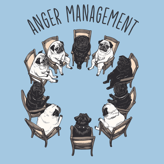 Anger Management