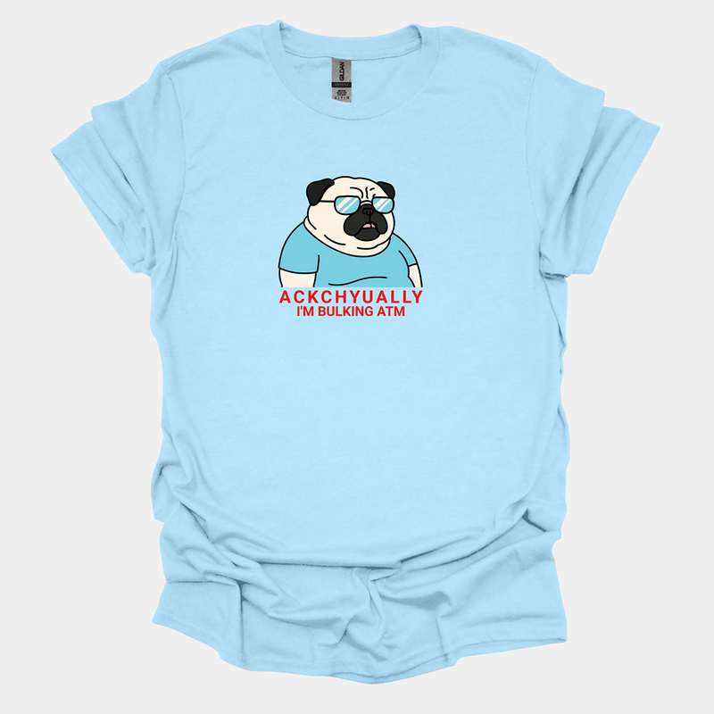 Ackchyually - Pugglez