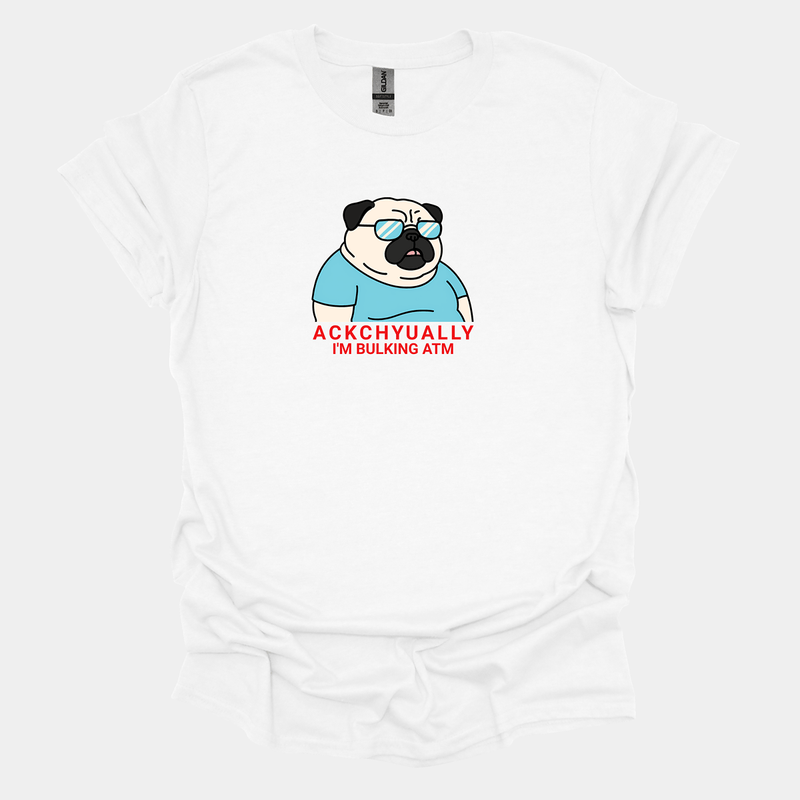 Ackchyually - Pugglez