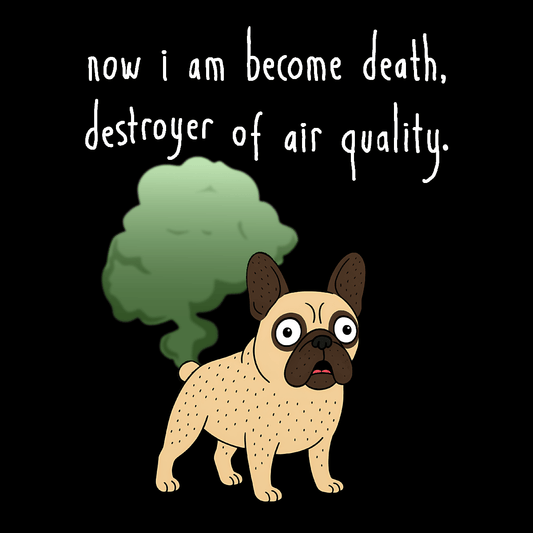 Destroyer of Air Quality