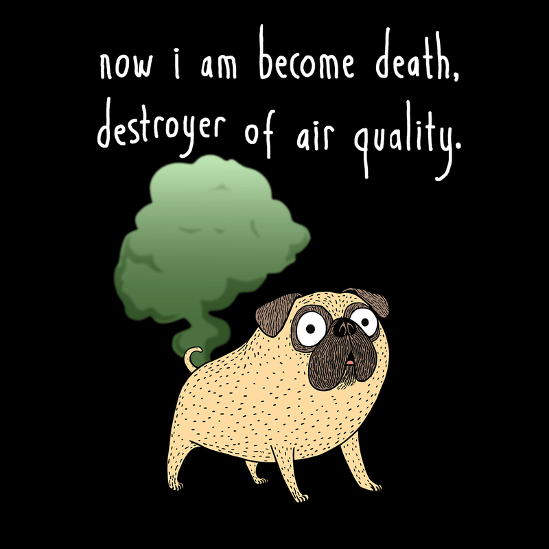Destroyer of Air Quality Funny Pug Graphic T-Shirt