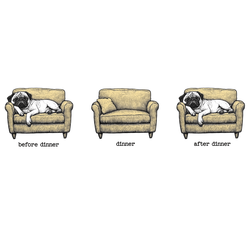 Dinner Funny Pug Graphic T-Shirt
