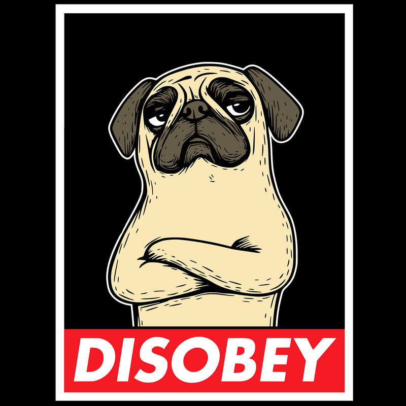 Disobey Funny Pug Graphic T-Shirt