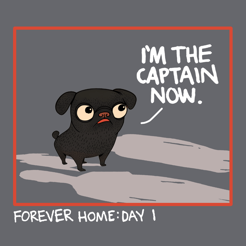 I'm The Captain Funny Pug Graphic T-Shirt