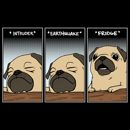Intruder Earthquake Fridge