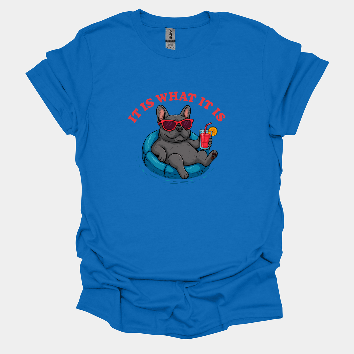 It Is What It Is - Pugglez