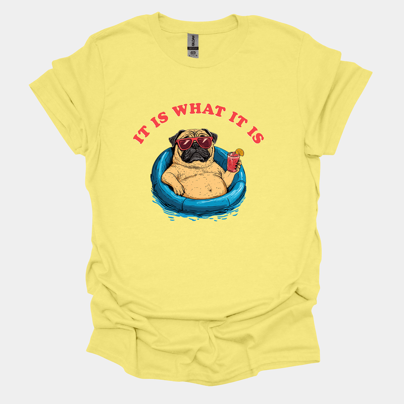 It Is What It Is Funny Pug Graphic T-Shirt