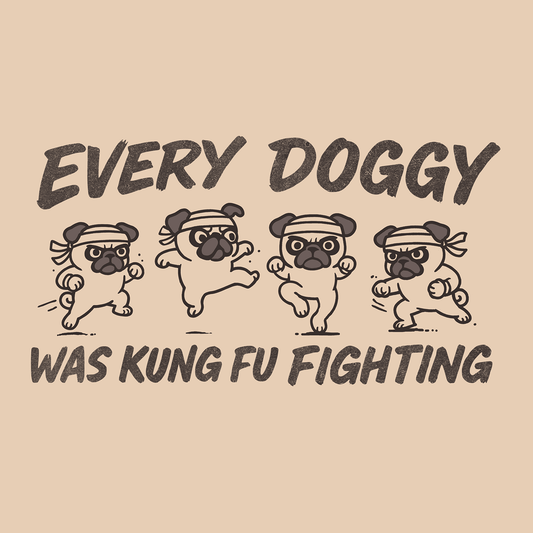 Kung Fu Fighting