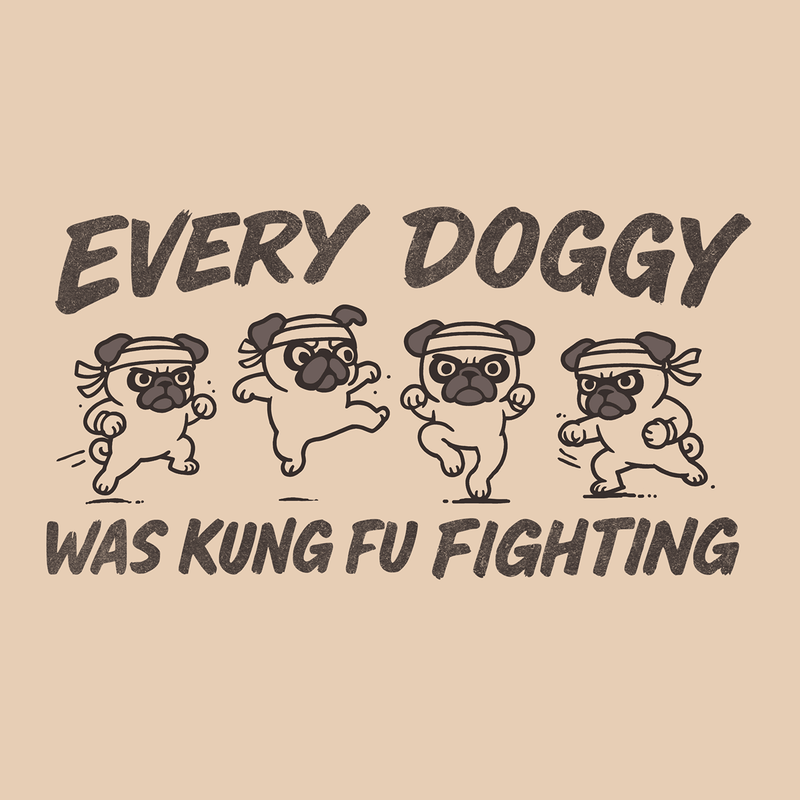 Kung Fu Fighting - Pugglez