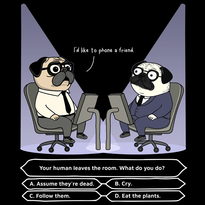 Millionaire Funny Pug Graphic T-Shirt