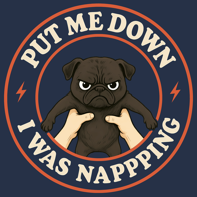 Put Me Down - Pugglez