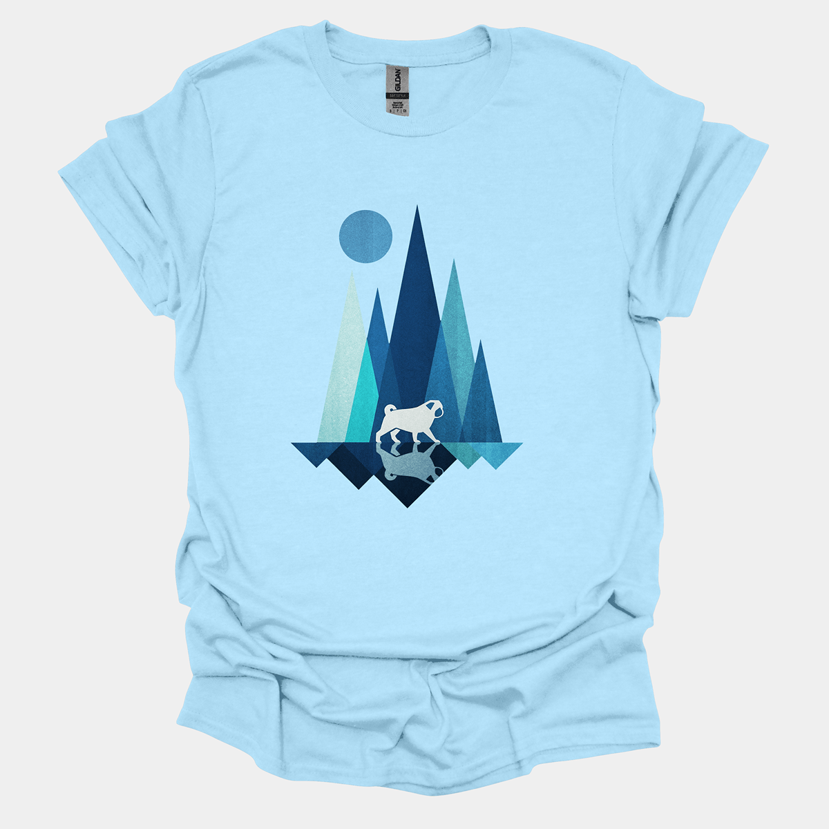 Reflection - Pugglez