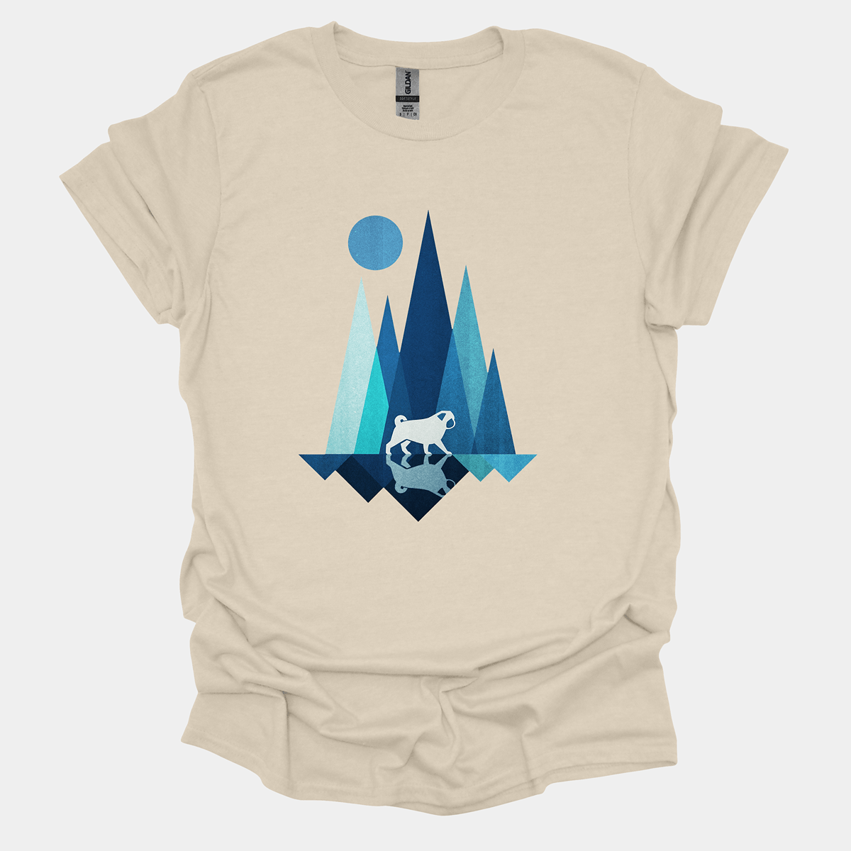 Reflection - Pugglez