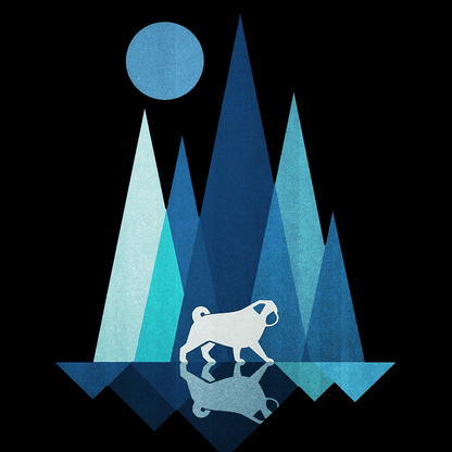 Reflection - Pugglez