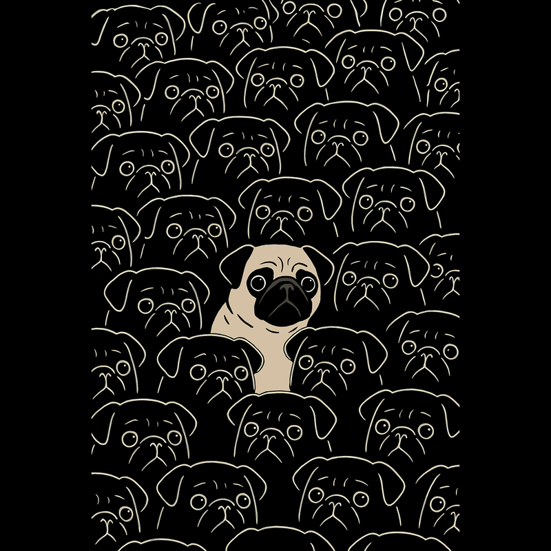 Same But Different - Pugglez