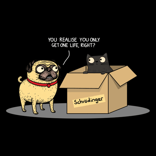 Schrödinger's Pug