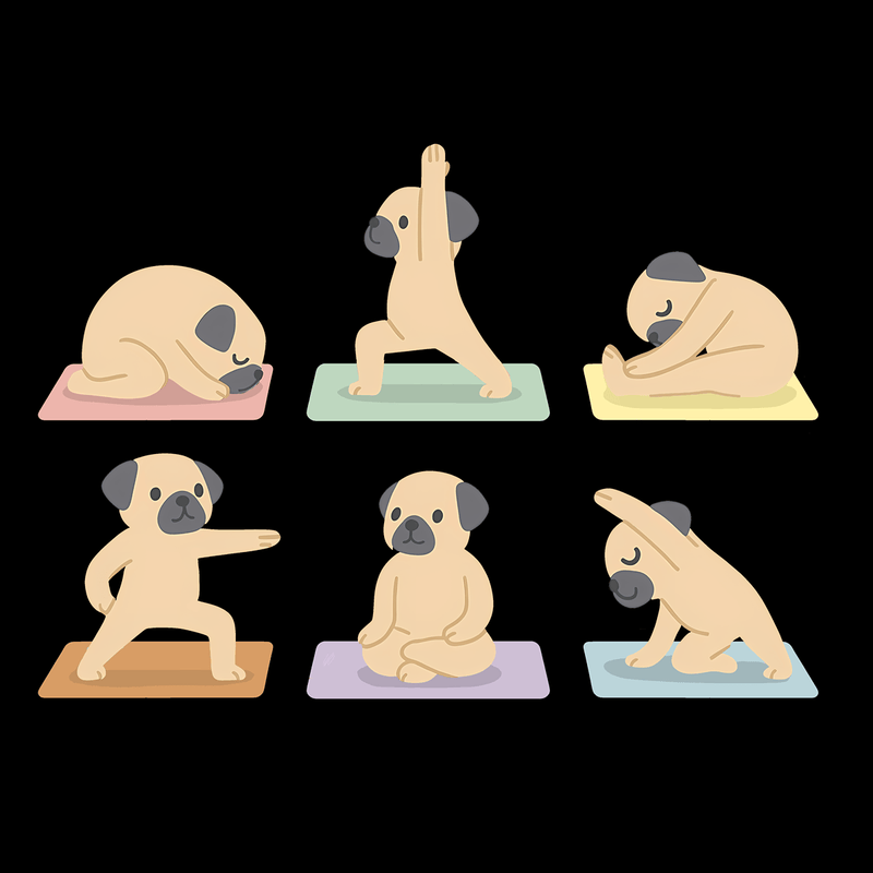 Yoga - Pugglez
